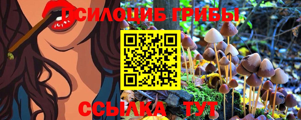 Псилоцибиновые грибы Cubensis  купить наркоту  Коломна  Вход с VPN  Галлюциногенные грибы мицелий 