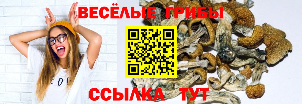 Псилоцибиновые грибы прущие грибы Коломна